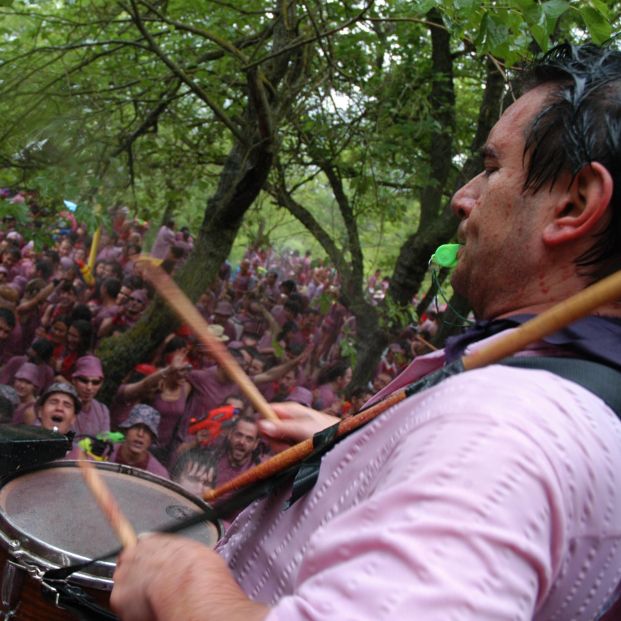 Batalla del Vino