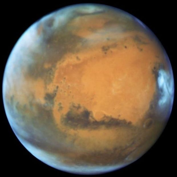 Las plantas sobrevivieron al asteroide gracias a duplicaciones genéticas, según un estudio