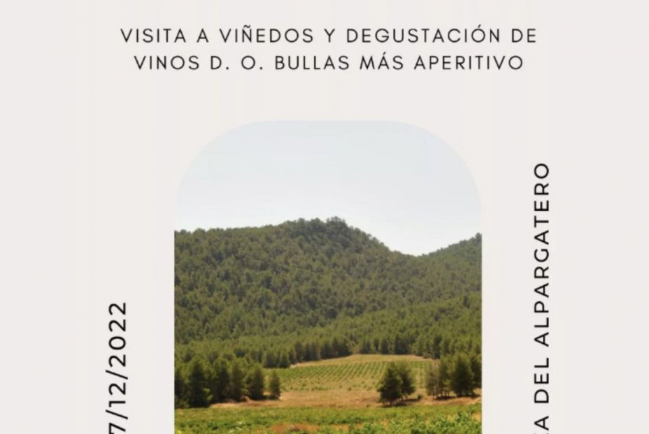 experiencia enologia en bodegas hydria