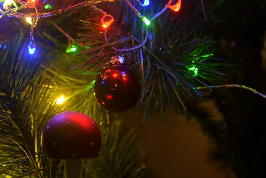 bigstock Lights On Christmas Tree Chri 465921311
