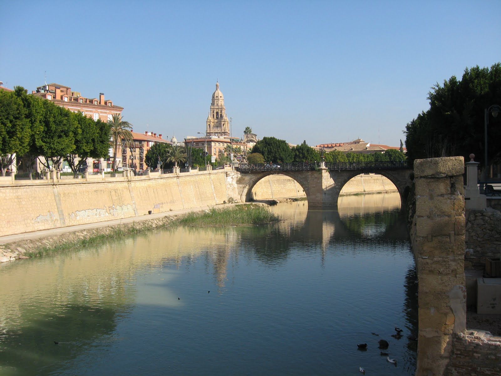 Ruta por el río Segura a su paso por la Región de Murcia (II). (Río Segura a su paso por MURCIA)