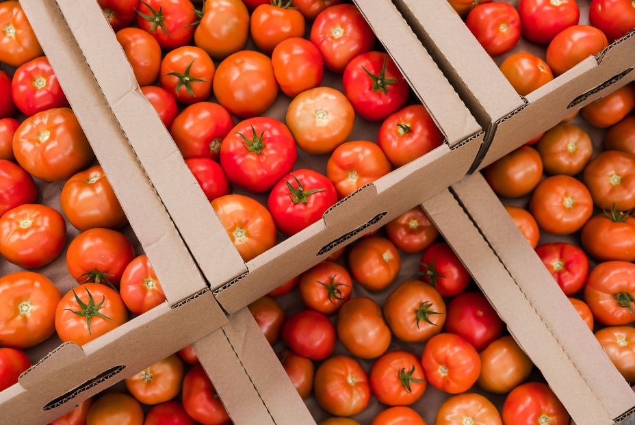 Las patatas y los tomates, posible fuente para los nuevos tratamientos contra el cáncer Las patatas y los tomates, posible fuente para los nuevos tratamientos contra el cáncer