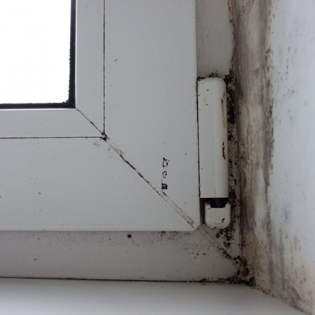 bigstock A Damp Window And A Corner Wit 466881927