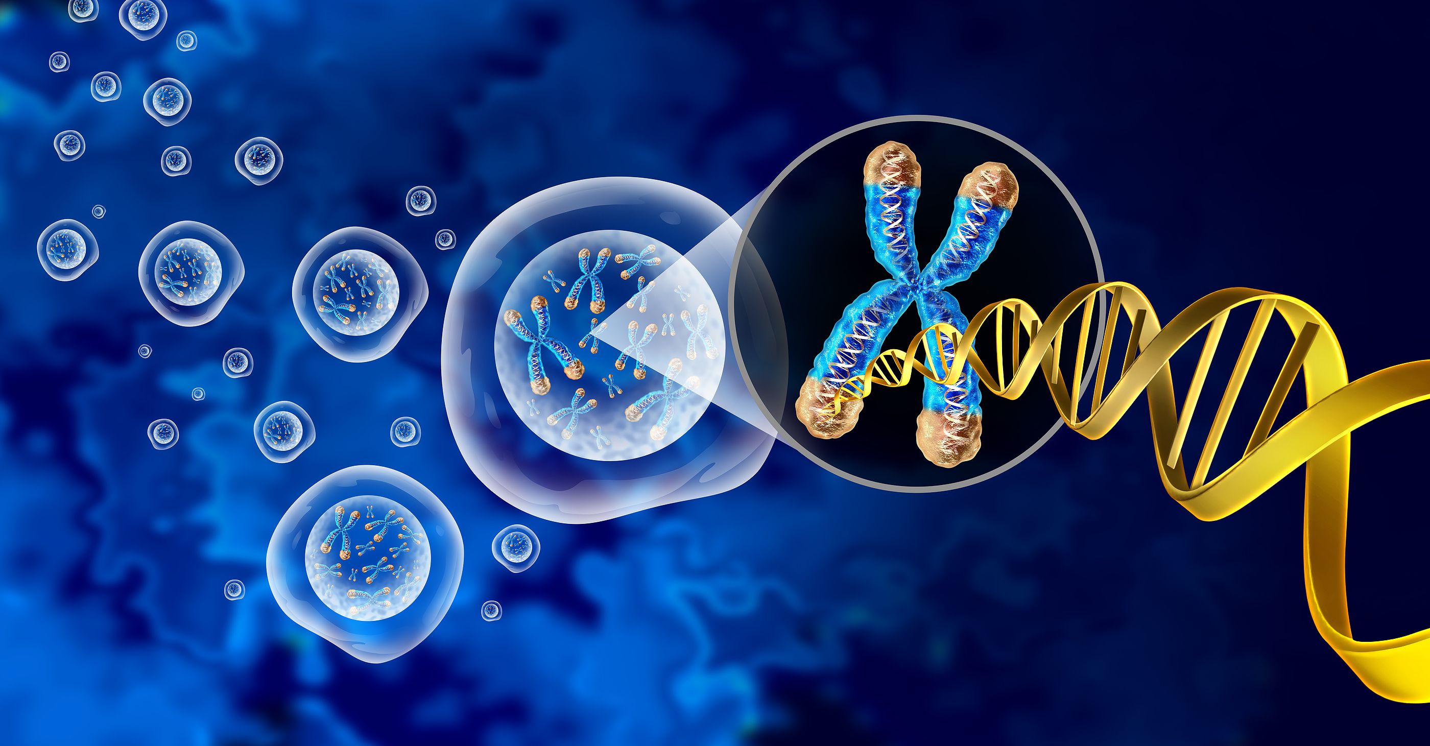 La pérdida del cromosoma Y puede estar relacionada con mayor riesgo de COVID-19 grave en hombres