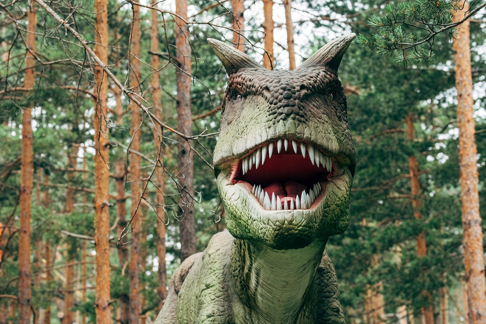 Los científicos descubren qué comían los primeros dinosaurios