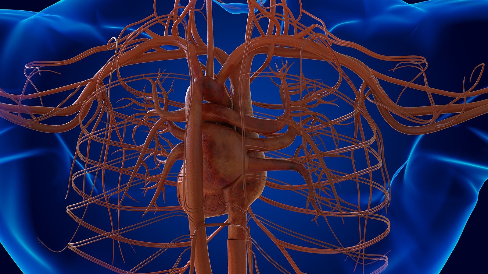 Un material que late: investigadores desarrollan un tejido artificial que imita al corazón