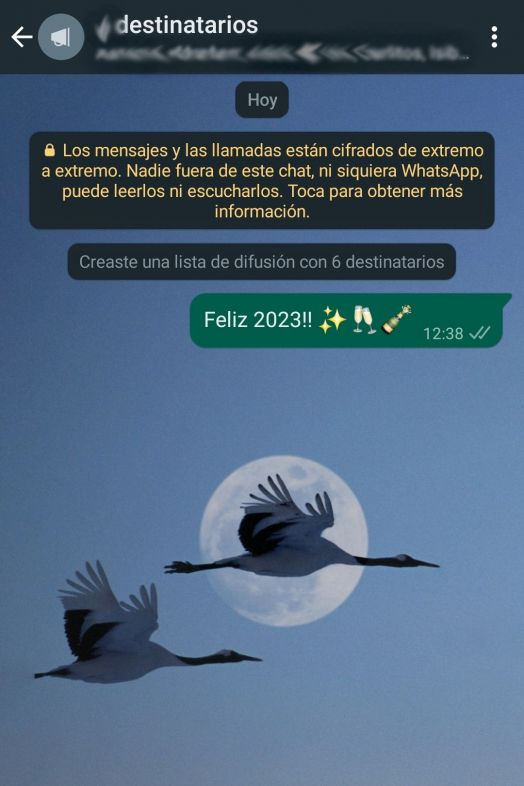 1672228486385 1672228486385