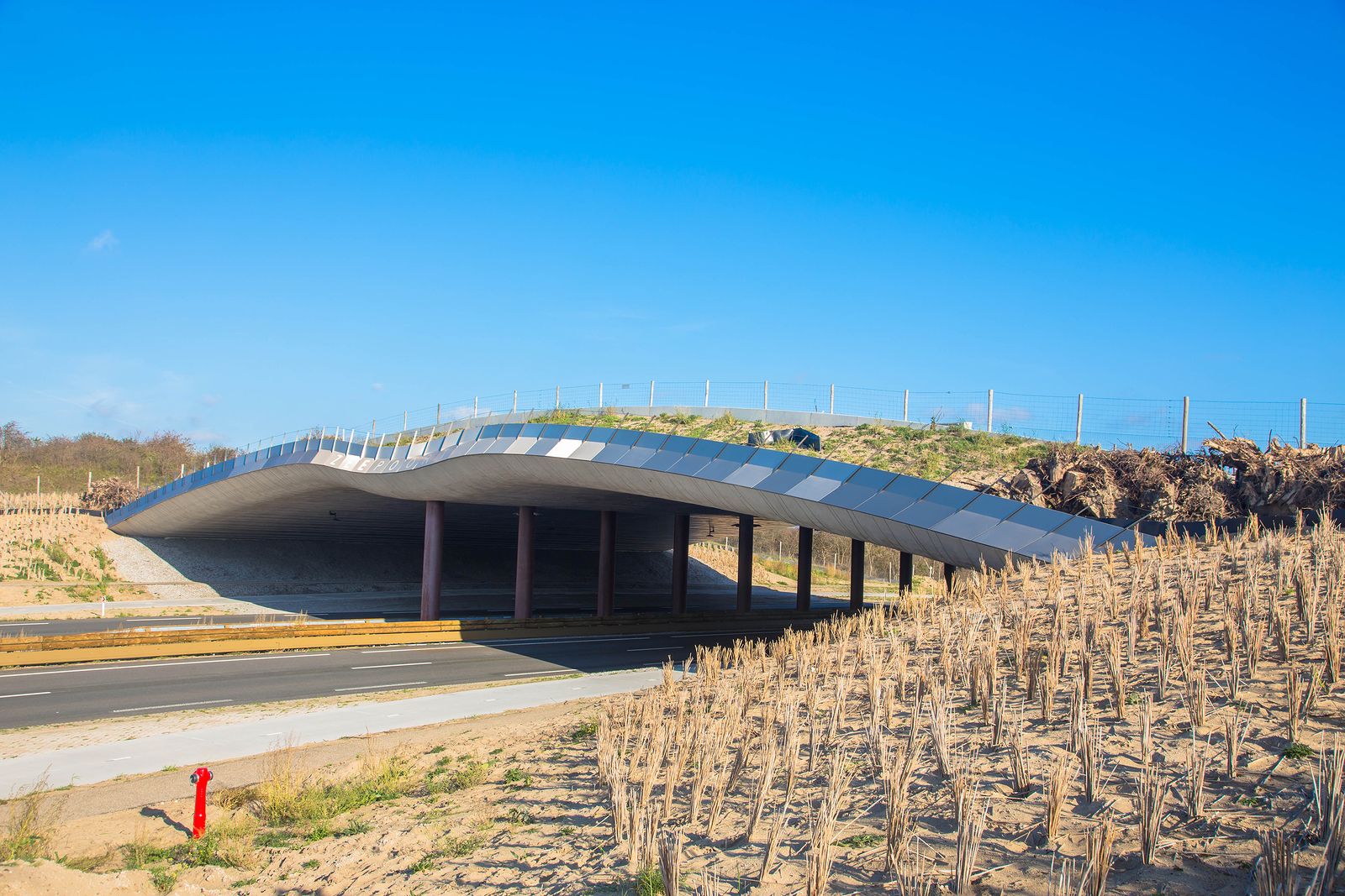 Ecoductos, pasos para que los animales crucen las carreteras