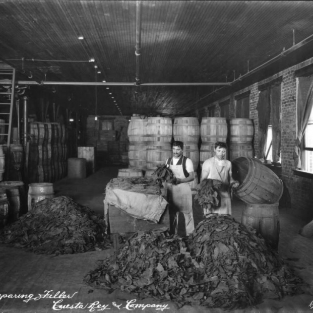 Tampa. Tabaqueros españoles preparando el tabaco en Cuesta Rey & Company