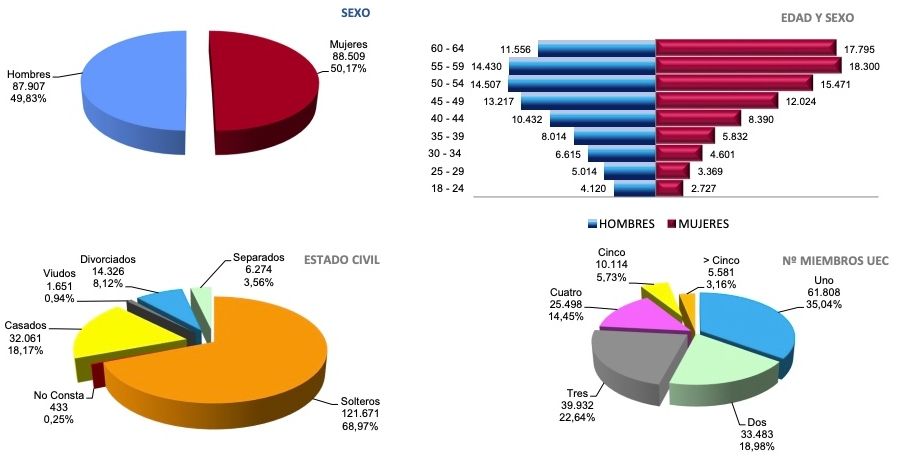 perfil tipo PNC invalidez diciembre 2022