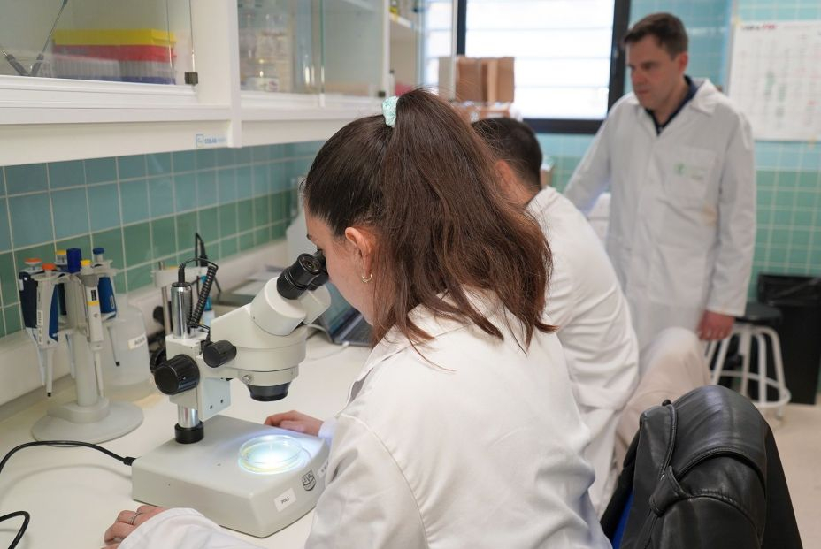 EuropaPress 4913157 investigadores ucv desarrollan pintalabios antimicrobiano impide