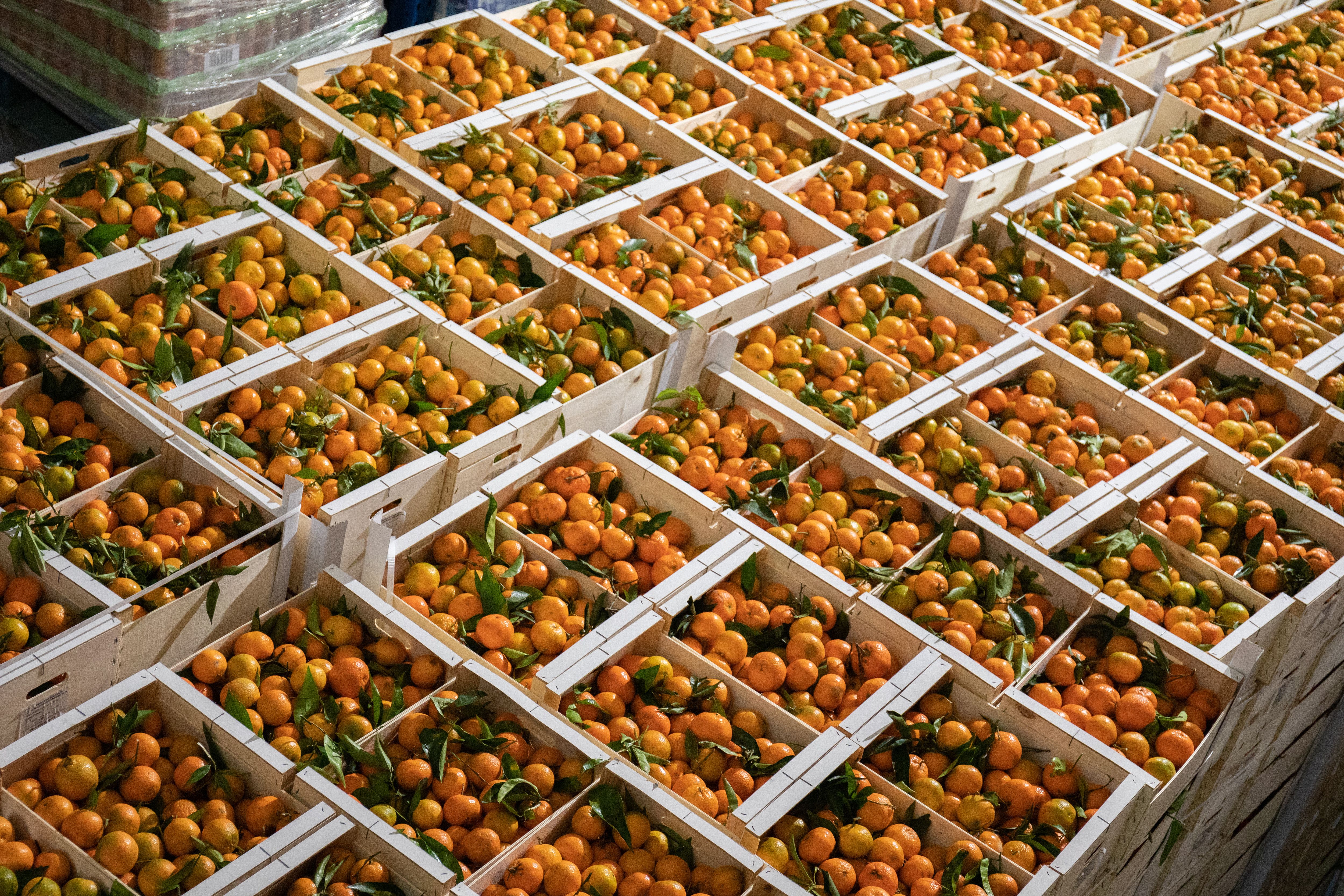 El Ministerio de Agricultura promociona en Fitur un turismo activo vinculado a los alimentos. Foto: Europa Press 