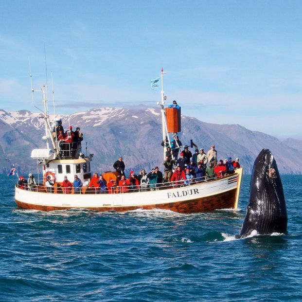 Husavik (Islandia) Husavik (Islandia)