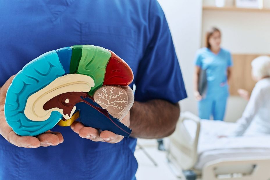 Un aerosol nasal podría revertir el envejecimiento cerebral y mejorar la memoria, según un estudio