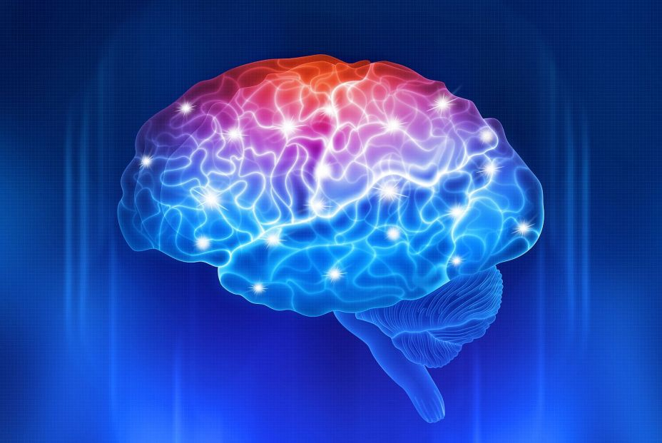 ¿Cómo podemos evitar el envejecimiento cerebral? Foto: bigstock