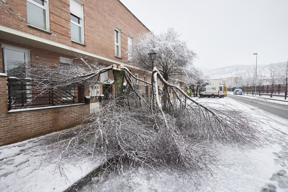 EuropaPress 4933584 arbol ramas rotas peso nieve 19 enero 2023 pamplona navarra espana agencia