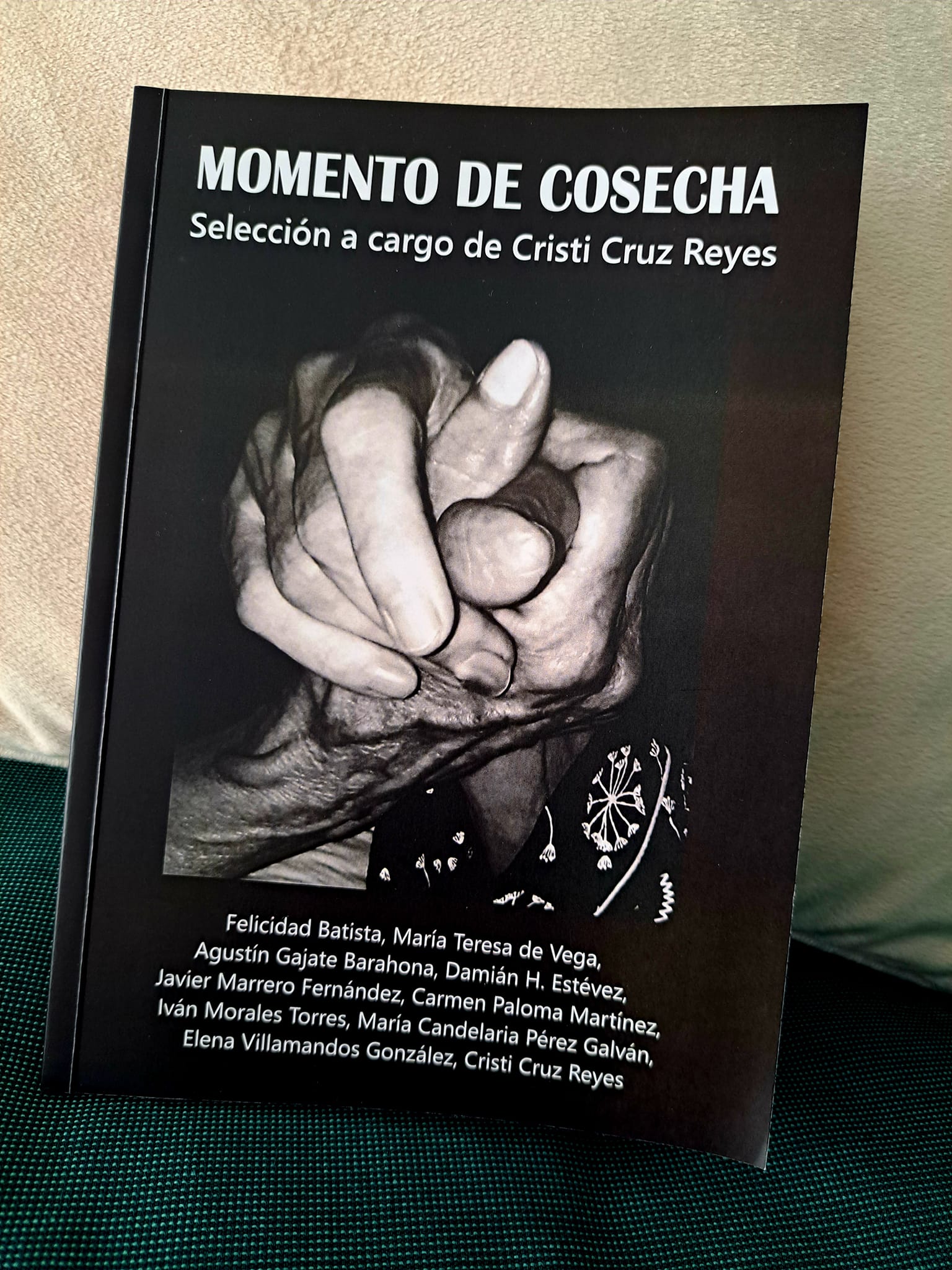 'Momento de cosecha', el libro que rinde homenaje a los abuelos canarios