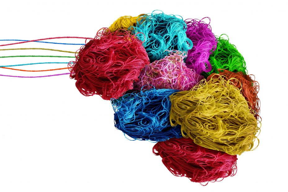 El cerebro no se prepara para actuar ante la situación El cerebro no se prepara para actuar ante la situación