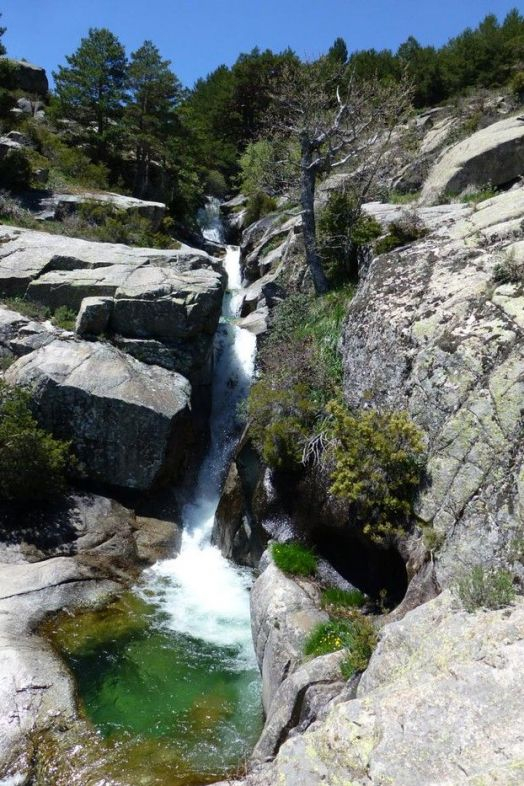 Parque Regional de la Cuenca Alta del Manzanares. Wihipedia