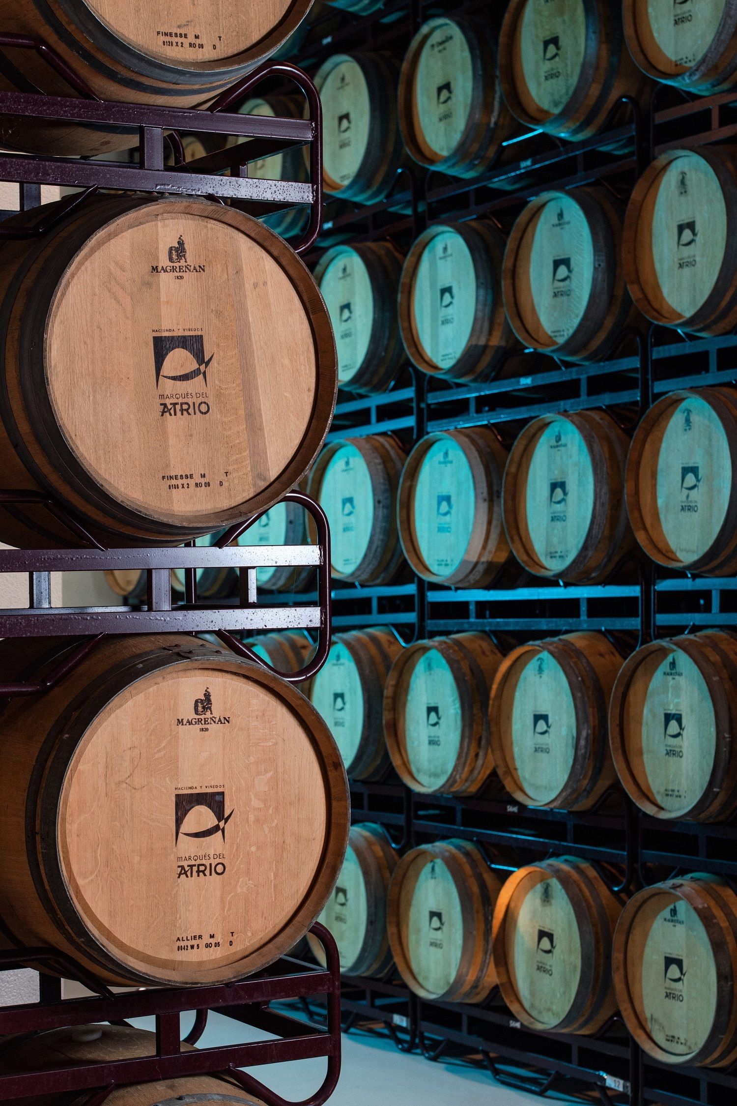 Grupo Marqués del Atrio crece con la compra de la bodega navarra Alex Viñedos de Calidad. Foto: Europa Press 