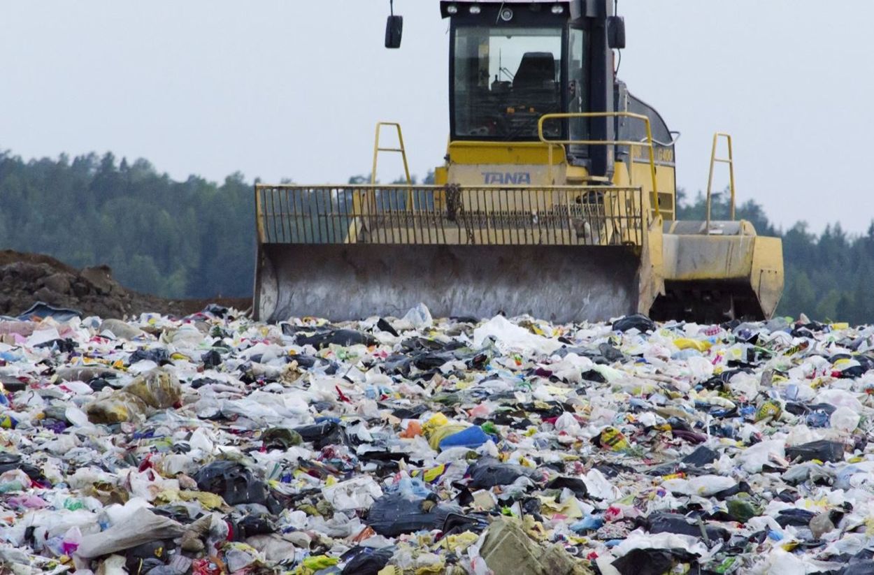 Esperanza en una bacteria común para devorar plástico en la naturaleza