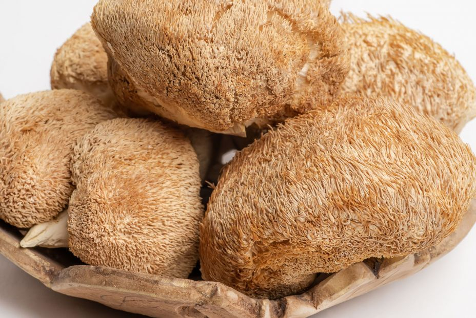 bigstock Dried Lions Mane Mushrooms Or  442787153