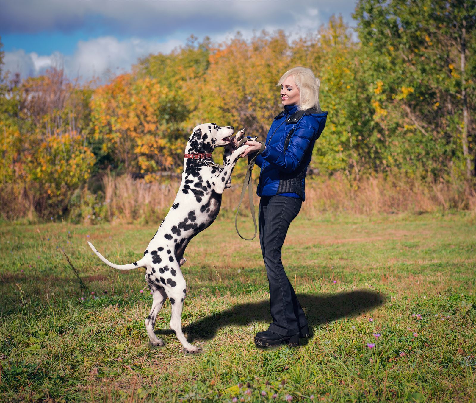 Dog dancing