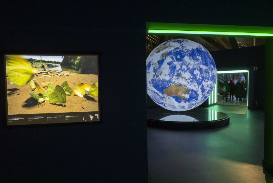 Entrada al ambito del color verde con vistas a Gaia una obra monumental del artista Luke Jerram