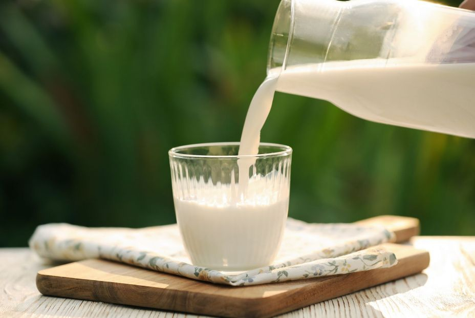 Mitos sobre la leche: ¿debemos consumirla a diario?