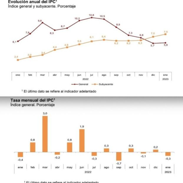 ipc anual y mensual enero 2023