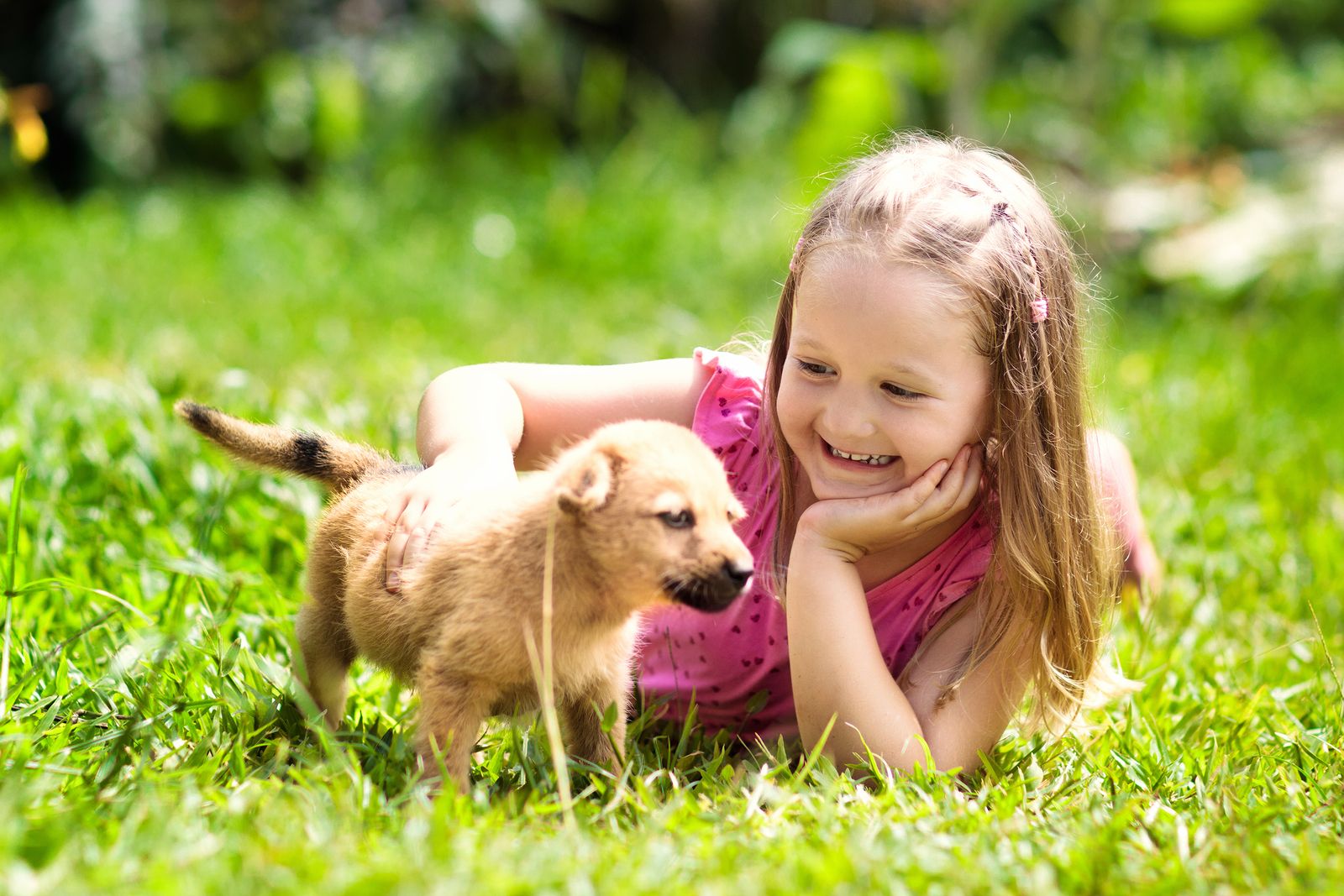 Beneficios de que tus nietos crezcan con una mascota Beneficios de que tus nietos crezcan con una mascota