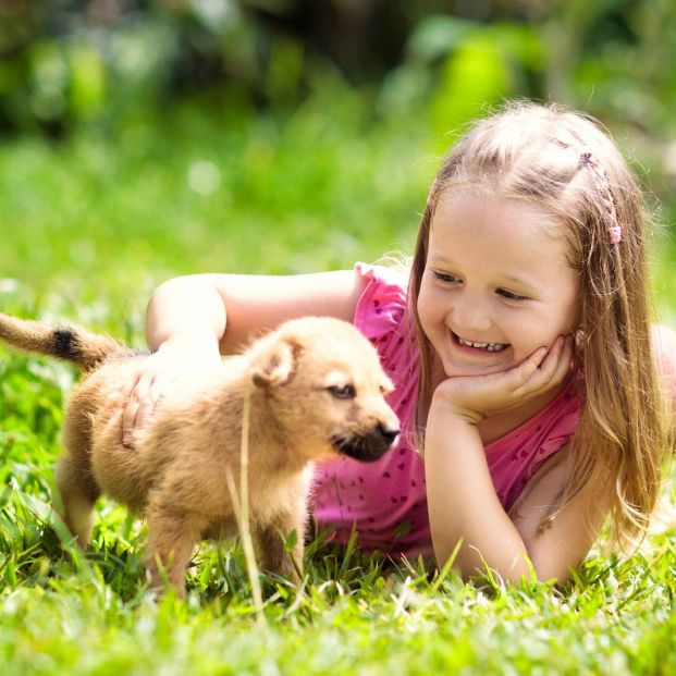 Beneficios de que tus nietos crezcan con una mascota Beneficios de que tus nietos crezcan con una mascota