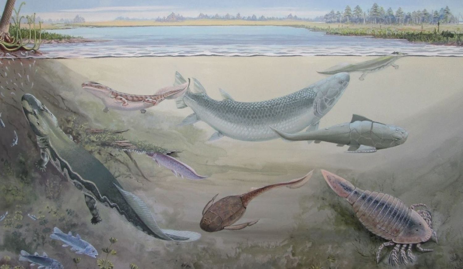 Descubren una nueva especie fósil de pez gigante que devoró a nuestros ancestros