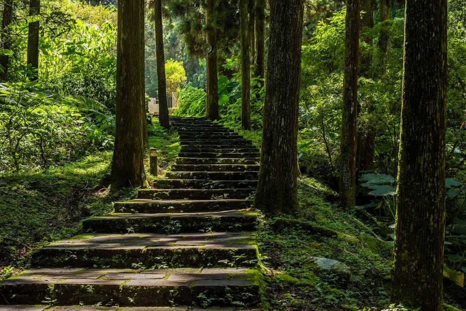 Área Educativa de Xitou, una reserva natural de Taiwán