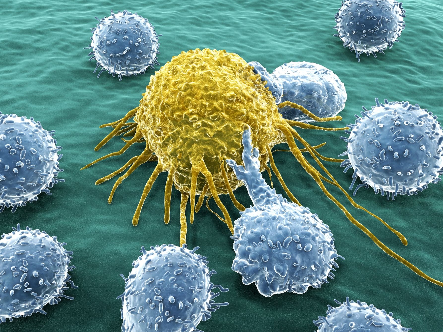 Tratamiento contra alteraciones moleculares presentes en cánceres frecuentes
