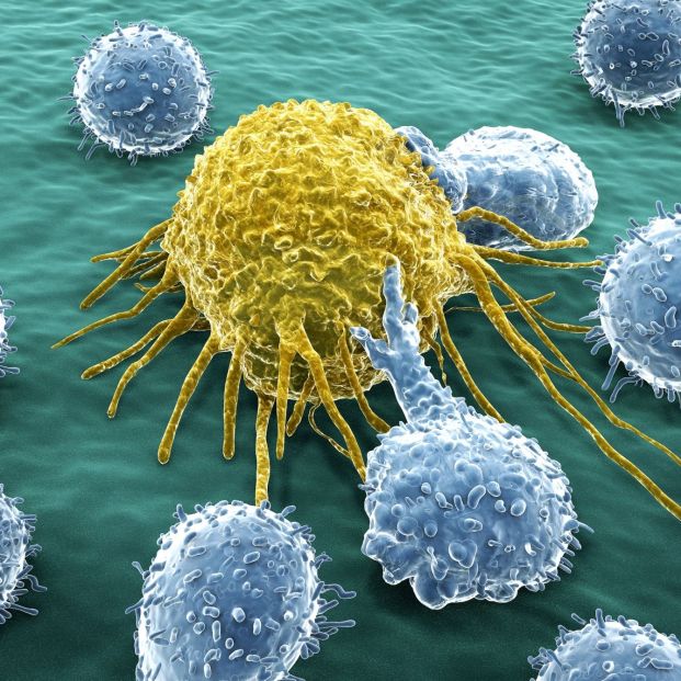 Tratamiento contra alteraciones moleculares presentes en cánceres frecuentes