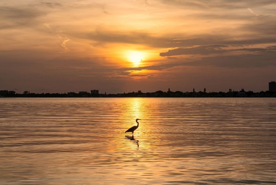 Siesta Beach 