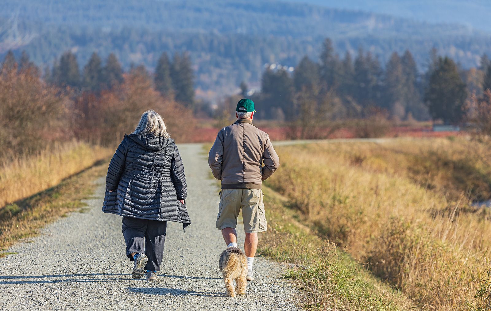 Caminar 11 minutos al día ya aporta beneficios a la salud, según un nuevo estudio. Foto: Bigstock