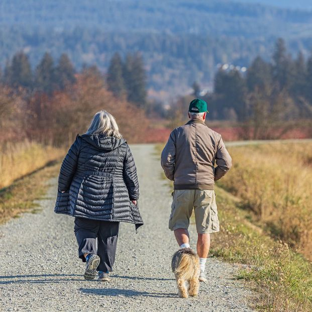 Caminar 11 minutos al día ya aporta beneficios a la salud, según un nuevo estudio. Foto: Bigstock