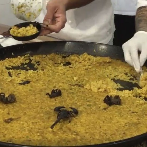 Paella con escorpiones y tarántulas