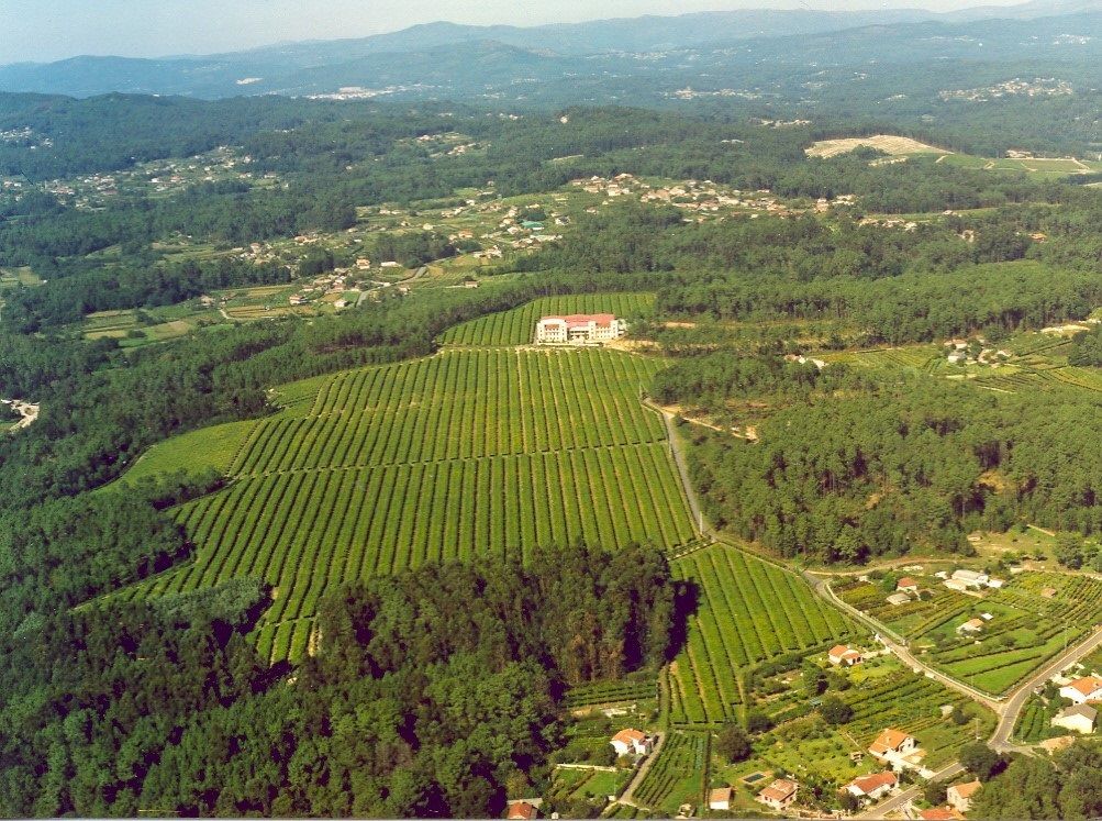 La riojana CVNE entra en la D.O. Rías Baixas tras incorporar Bodegas La Val. (Bodegas V - Rias Baixas)