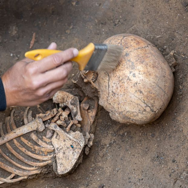bigstock Archaeological Excavations Ar 466086145 bigstock Archaeological Excavations Ar 466086145