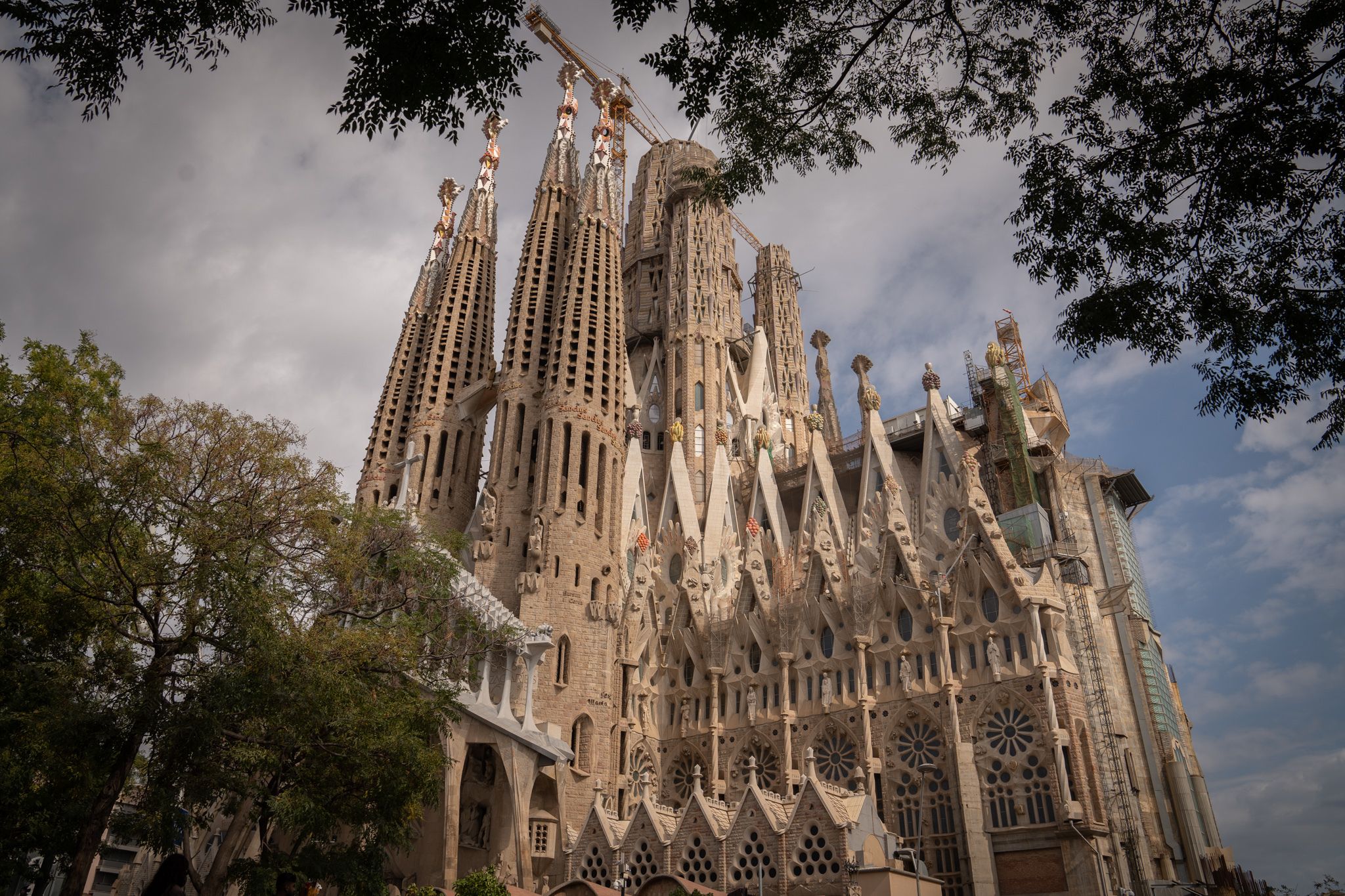 La Sagrada Familia presenta las actividades para Sant Jordi