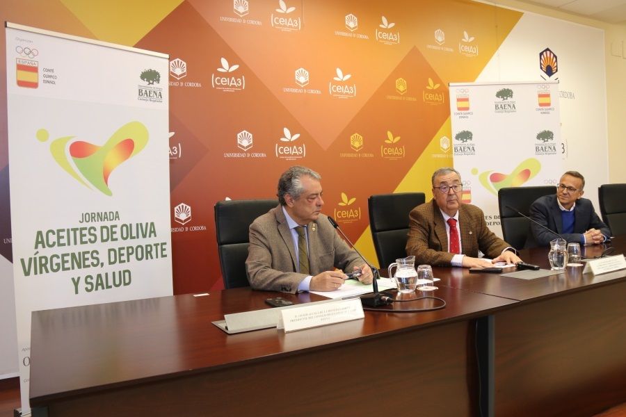 Javier Alcalá, Antonio Arenas y Manuel Rich, en la presentación de la jornada.. Europa Press 