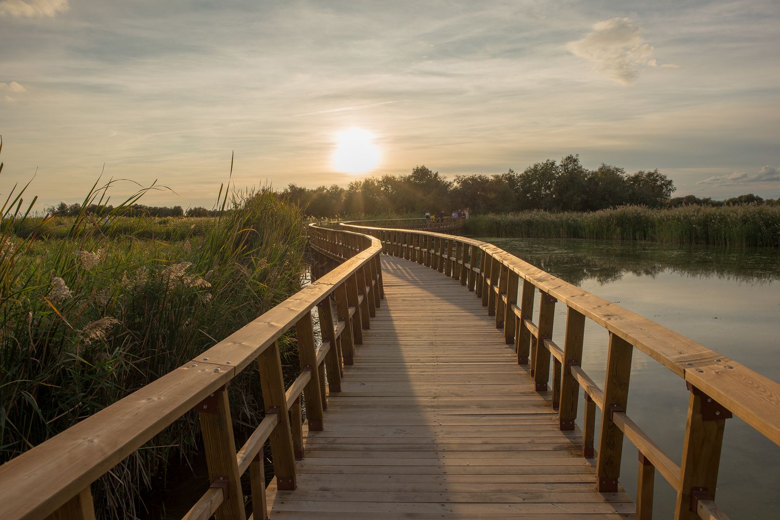 ¿Qué parques naturales de España no puedes perderte?