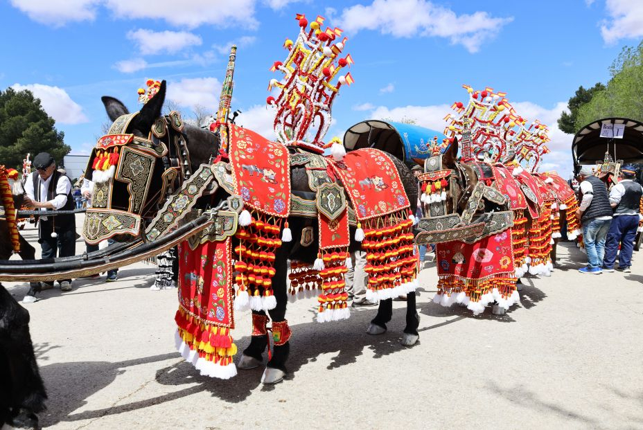 Romería de Tomelloso (Ciudad Real)