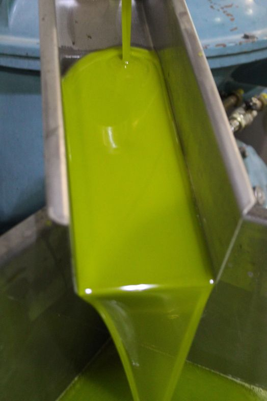 EuropaPress 4054132 produccion aceite oliva