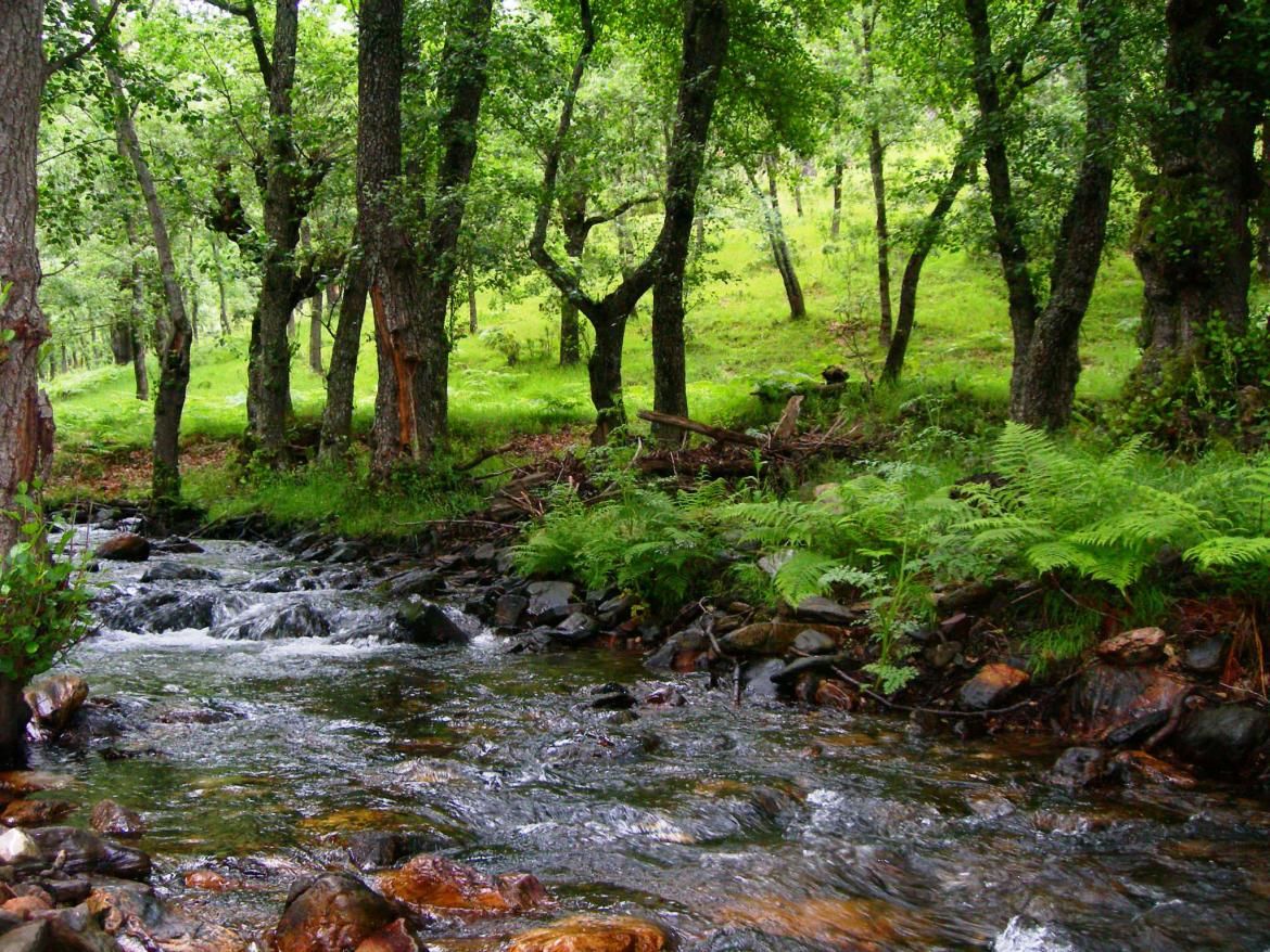 Sierra del Rincón Sierra del Rincón