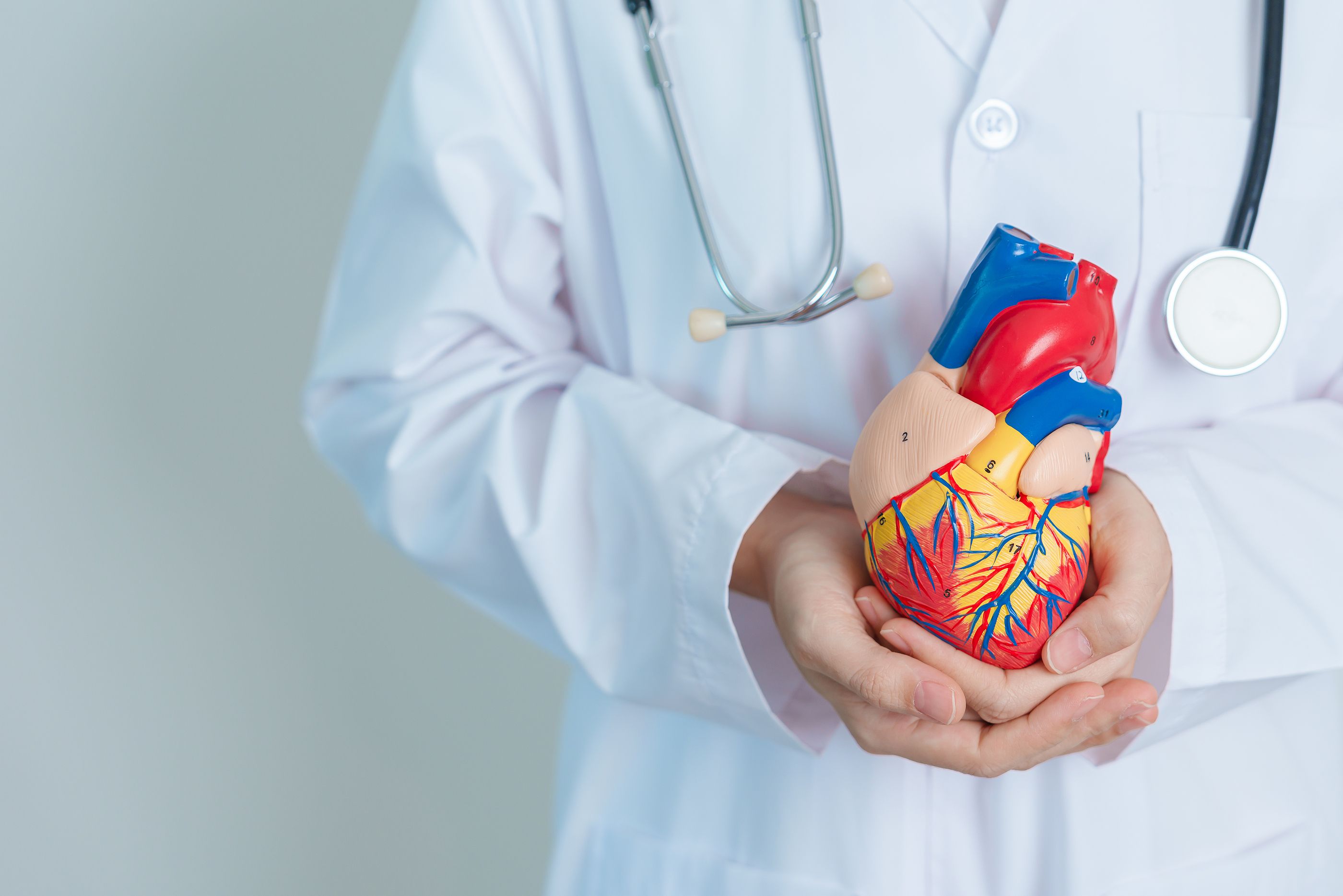 La Inteligencia Artificial mejora el seguimiento de una patología cardíaca muy común en mayores