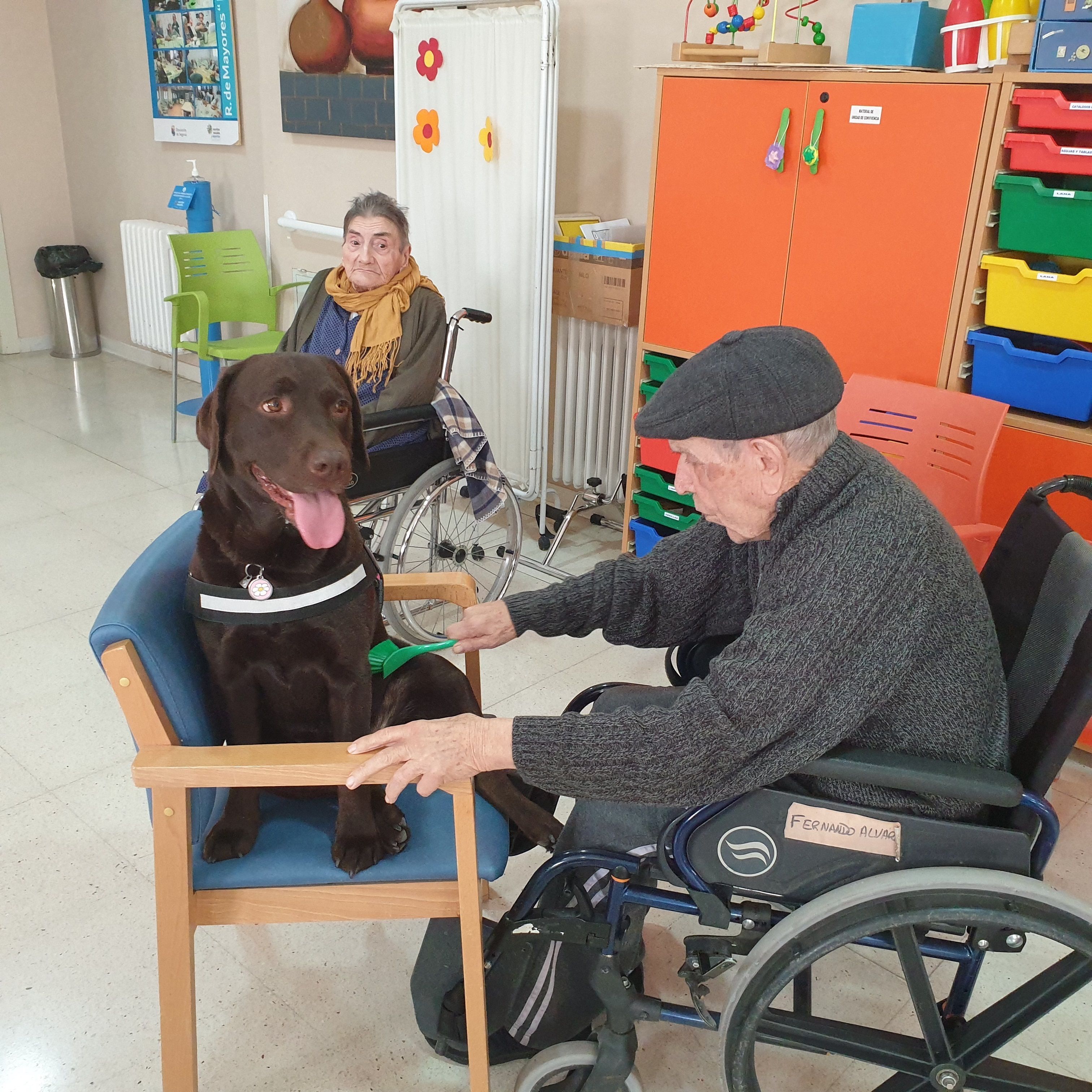 Los beneficios de terapias con animales en las residencias de mayores